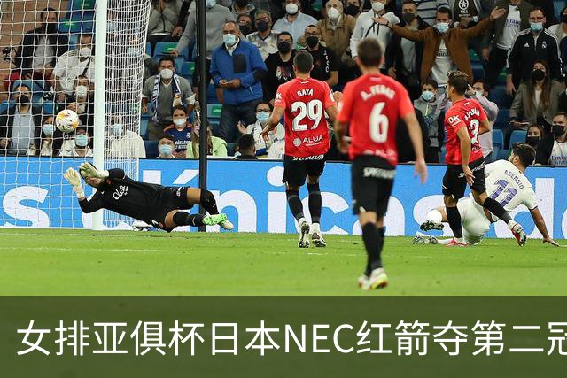 女排亚俱杯日本NEC红箭夺第二冠 佐藤淑乃荣膺MVP